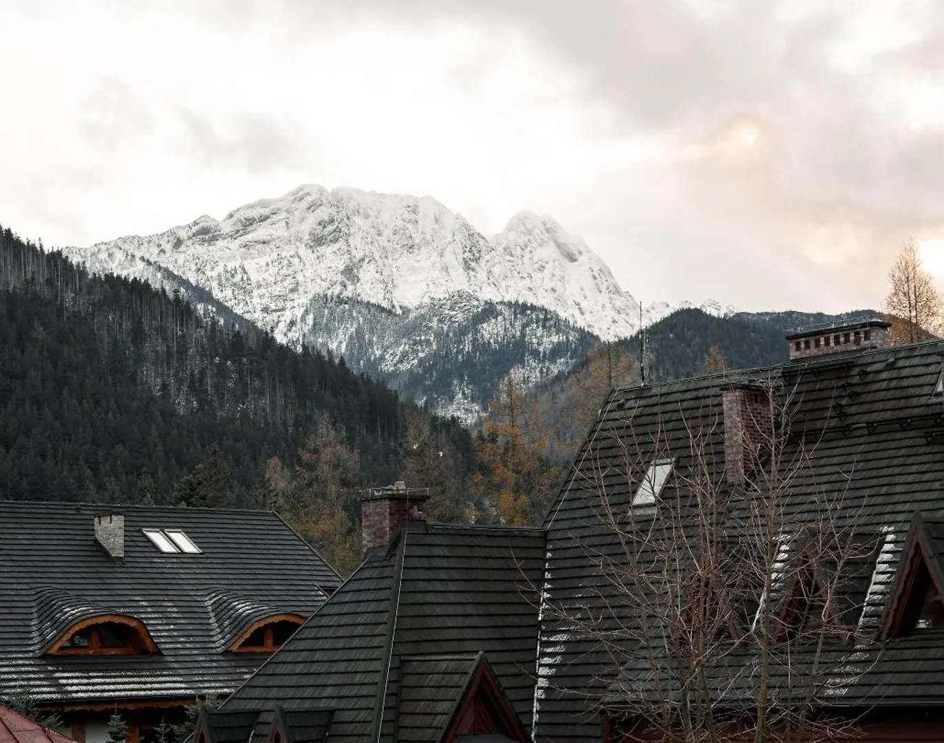 Hostel Wielka Krokiew Zakopane